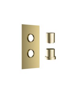 DUSC Core Concealed Shower Valve Plate (2 Outlet) - Brushed Brass