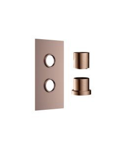 DUSC Core Concealed Shower Valve Plate (2 Outlet) - Brushed Bronze